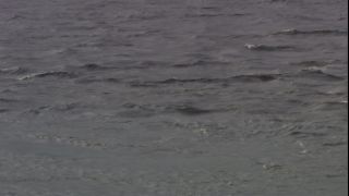 Link to Video