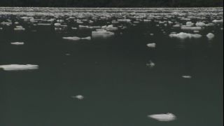 Link to Video