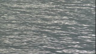 Link to Video
