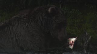 Link to Video