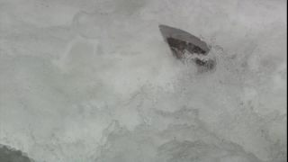Link to Video
