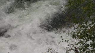 Link to Video