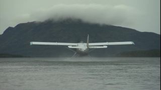 Link to Video