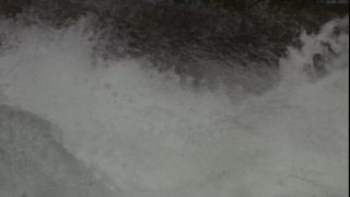 Link to Video