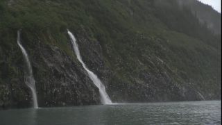 Link to Video