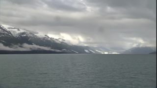 Link to Video