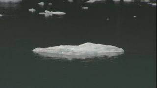 Link to Video