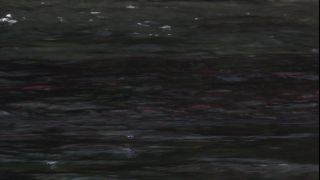 Link to Video