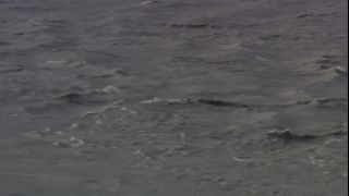 Link to Video