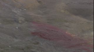 Link to Video