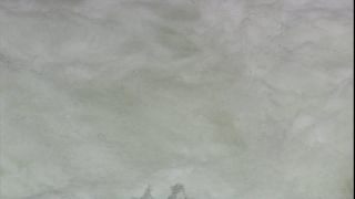 Link to Video