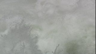 Link to Video