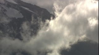 Link to Video