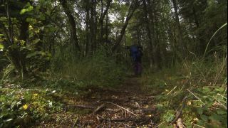 Link to Video