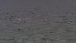 Link to Video