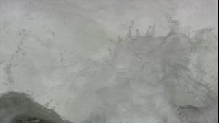 Link to Video