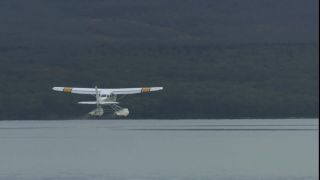 Link to Video