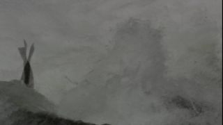 Link to Video