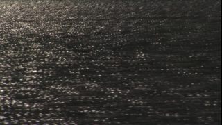 Link to Video