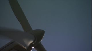 Link to Video