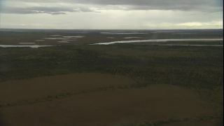 Link to Video