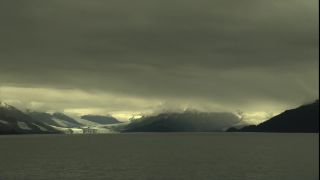 Link to Video