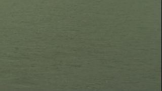Link to Video