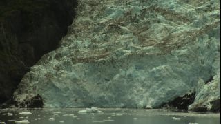 Link to Video