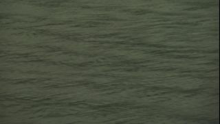 Link to Video