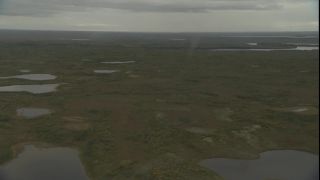 Link to Video