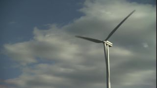 Link to Video