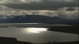 Link to Video