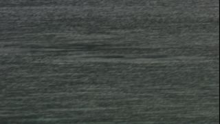 Link to Video