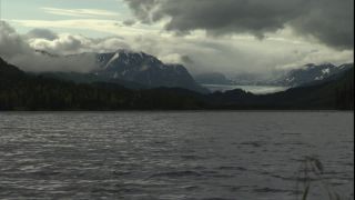 Link to Video