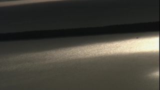 Link to Video