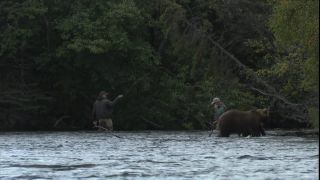 Link to Video