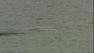 Link to Video