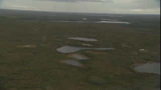 Link to Video