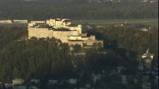Link to Video