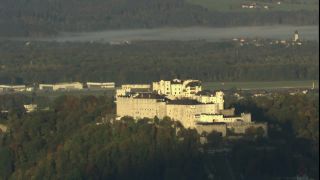 Link to Video