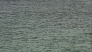 Link to Video