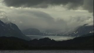 Link to Video