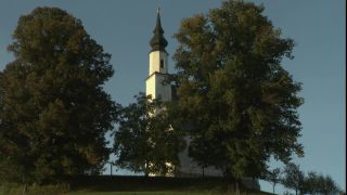 Link to Video