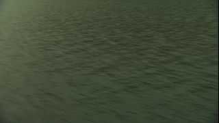 Link to Video