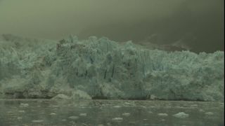 Link to Video