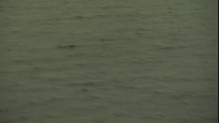 Link to Video