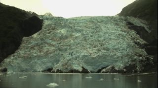 Link to Video