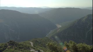 Link to Video