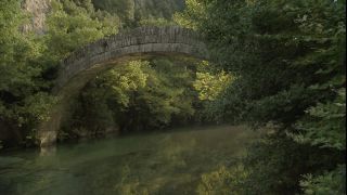 Link to Video