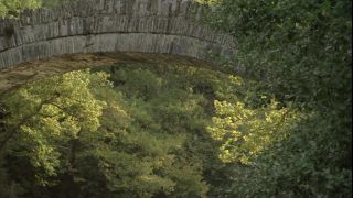 Link to Video